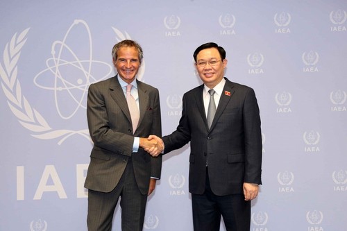 Vuong Dinh Huê rencontre le directeur général de l’AIEA - ảnh 1