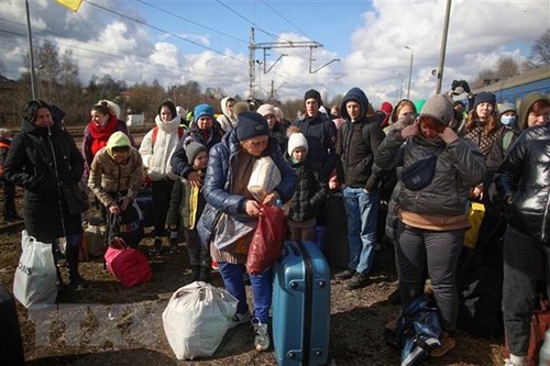 La Commission européenne propose une protection temporaire aux réfugiés ukrainiens - ảnh 1