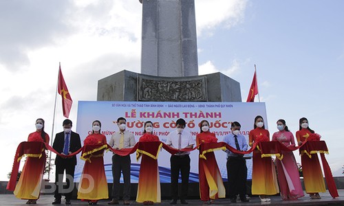 Inauguration d’une rue couverte de drapeau national sur le littoral de Quy Nhon - ảnh 1