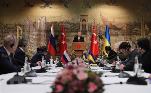 Conflit en Ukraine: Moscou et Kiev font un pas l'un vers l'autre suite à des pourparlers à Istanbul - ảnh 1