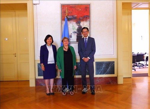 Le Vietnam contribue au dialogue et à la coopération au sein du Conseil des droits de l’homme de l’ONU - ảnh 1