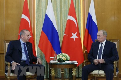 Crise ukrainienne: la Turquie veut organiser une rencontre entre Poutine et Zelenski - ảnh 1