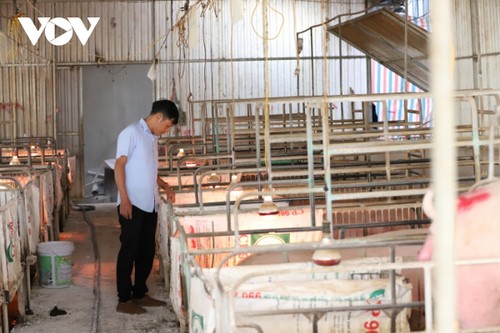 Trân Nhu Kiên, un agriculteur milliardaire - ảnh 2