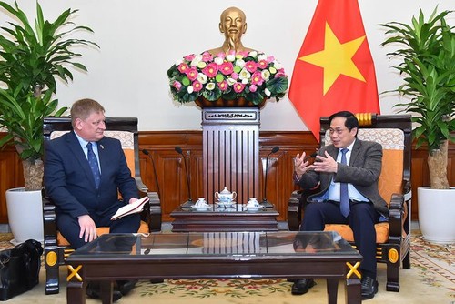 Le Conseil des affaires ASEAN-UE et l’EuroCham appellent les entreprises européennes à s’installer au Vietnam - ảnh 1
