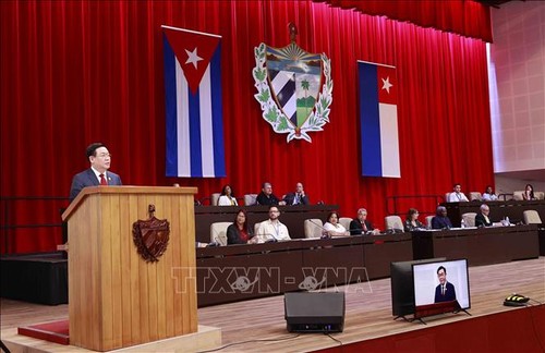 Vuong Dinh Huê prononce un discours devant l'Assemblée nationale cubaine - ảnh 1