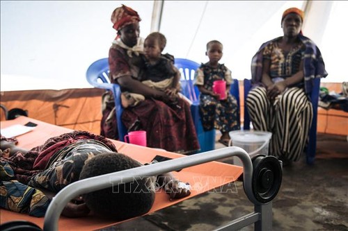 L'OMS intensifie ses efforts pour lutter contre l'épidémie de choléra en Afrique - ảnh 1