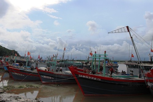Thanh Hoa : Les gardes- frontières en première ligne de la lutte contre la pêche illégale - ảnh 1
