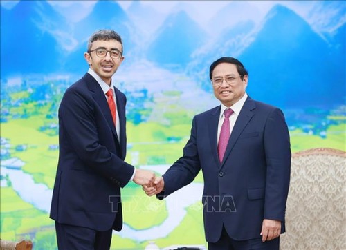 Pham Minh Chinh reçoit le ministre émirien des Affaires étrangères - ảnh 1