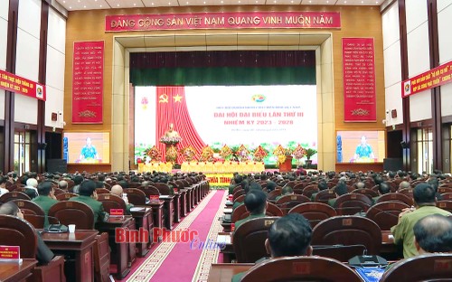 Ouverture du 3e Congrès de l’Association des entrepreneurs-anciens combattants du Vietnam - ảnh 1