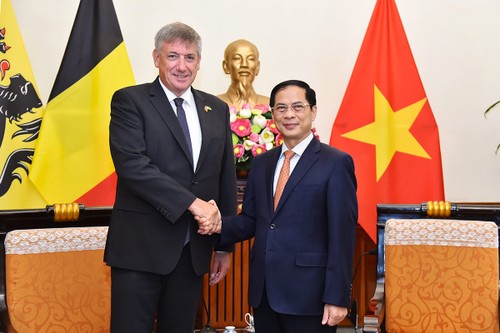 Le ministre-président du gouvernement flamand (Belgique) rencontre le Premier ministre et le ministre des Affaires étrangères du Vietnam - ảnh 2
