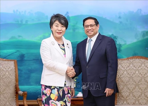 Kamikawa Yoko souhaite insuffler un nouvel élan au partenariat Vietnam-Japon - ảnh 1