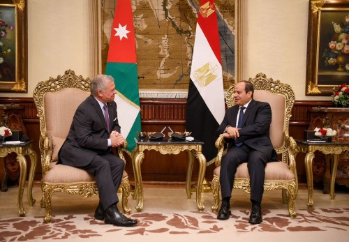 L’Égypte et la Jordanie appellent à la fin du conflit à Gaza - ảnh 1