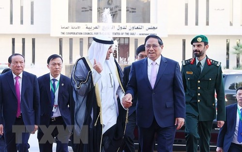 Le CCG et l’ASEAN tiennent leur premier sommet à Riyad - ảnh 1