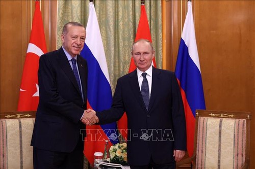 Vladimir Poutine adresse ses félicitations pour le 100e anniversaire de la fondation de la Turquie - ảnh 1
