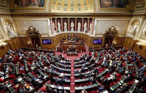 Loi immigration: Adoption d'une version durcie par le Sénat français - ảnh 1