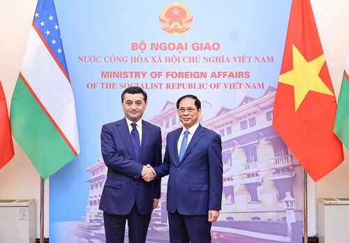 Donner un nouvel élan à la coopération Vietnam - Ouzbékistan - ảnh 1