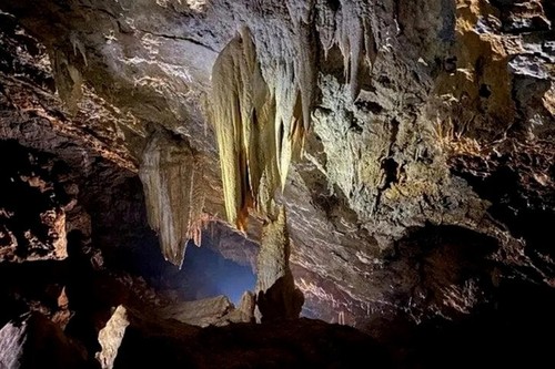 Découverte de nouvelles grottes dans le parc national de Phong Nha-Ke Bàng - ảnh 1
