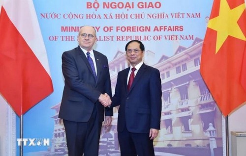Renforcement des relations Vietnam-Pologne: consultations politiques et coopération bilatérale - ảnh 1