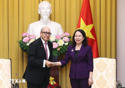 Le Vietnam prêt à servir de pont entre le Maroc et l’ASEAN - ảnh 1