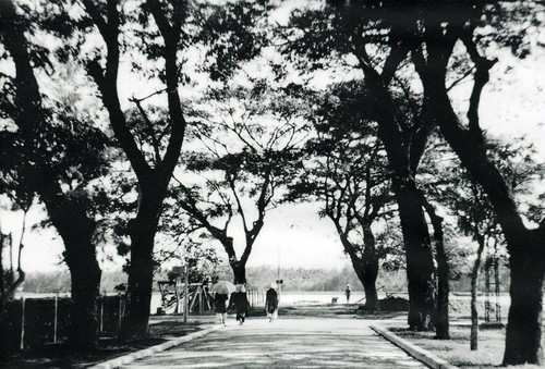 เมืองเก่า Hội An เมื่อ100ปีก่อน - ảnh 6