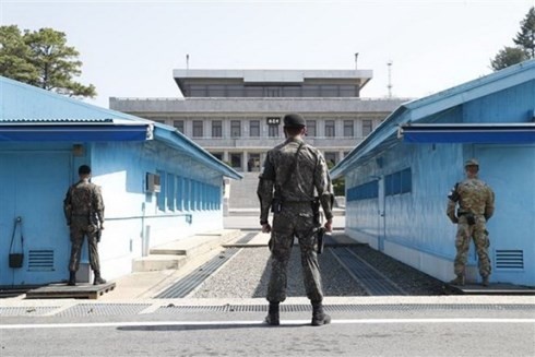 สองภาคเกาหลีรื้อถอนชายแดนระหว่างสองประเทศ - ảnh 1