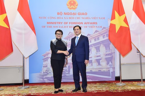 รัฐมนตรี บุ่ยแทงเซิน เป็นประธานร่วมในการประชุมครั้งที่ 5 คณะกรรมการร่วมมือทวิภาคีเวียดนาม - อินโดนีเซีย - ảnh 1