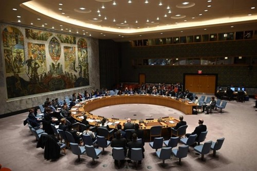 UN Security Council discusses coronavirus for first time  - ảnh 1