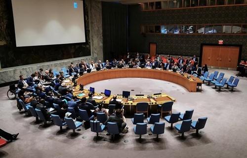 UN Security Council adopts Vietnamese resolution - ảnh 1