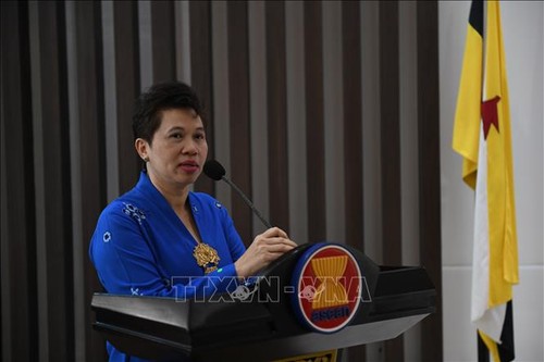Vietnam brings new dynamism to ASEAN: Malaysian Ambassador - ảnh 1