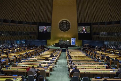 UN to commemorate World War II victims on December 1 - ảnh 1