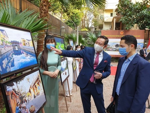 Vietnamese culture promoted in Egypt - ảnh 1