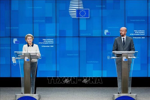 EU wants to strengthen cooperation with Vietnam - ảnh 1