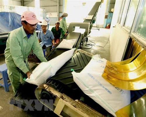 First 60 tons of Vietnamese rice exported to UK without tariff  - ảnh 1