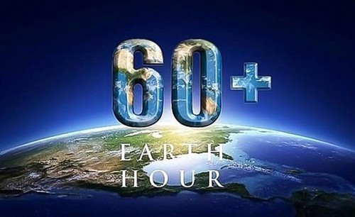 Campaign gets underway ahead of Earth Hour 2021 - ảnh 1