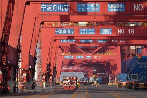 China ratifies RCEP trade deal  - ảnh 1