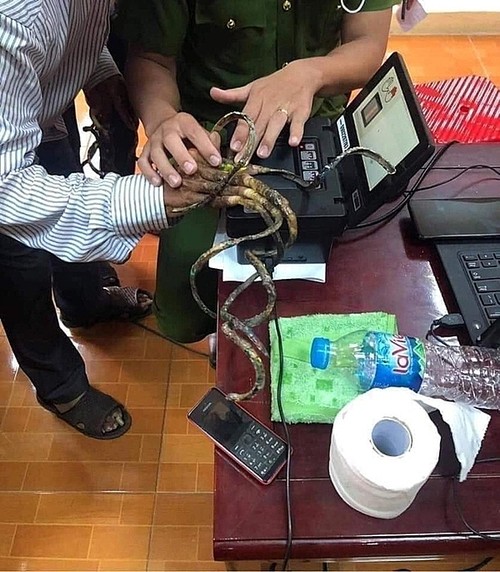 Man with 86-cm nails unable to get fingerprints scanned for new ID - ảnh 1