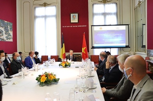 Belgium, Vietnam see growing multifaceted cooperation: Belgian politician - ảnh 1