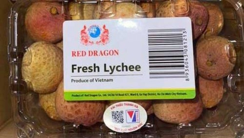 Vietnam’s lychees make it to Singapore supermarket shelves - ảnh 1