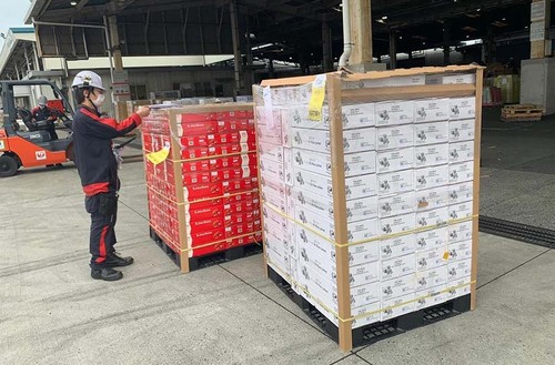 New Japanese partner imports Hai Duong lychees - ảnh 1