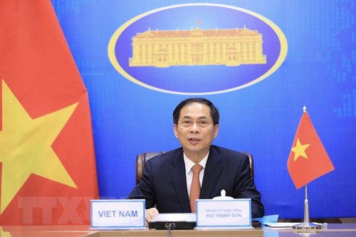 Foreign minister affirms Vietnam’s commitments to Mekong-Ganga Cooperation  - ảnh 1