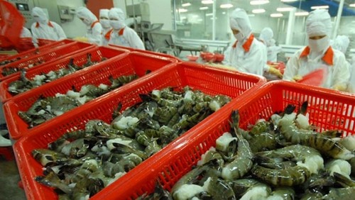 Shrimp exports witness robust growth in FTA markets - ảnh 1