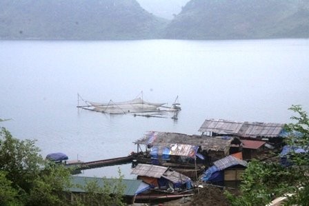"Ngư trường đặc biệt" trên lòng hồ thủy điện Sơn La  - ảnh 2