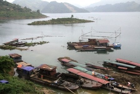 "Ngư trường đặc biệt" trên lòng hồ thủy điện Sơn La  - ảnh 3