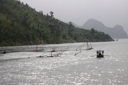 "Ngư trường đặc biệt" trên lòng hồ thủy điện Sơn La  - ảnh 4