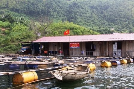 "Ngư trường đặc biệt" trên lòng hồ thủy điện Sơn La  - ảnh 6