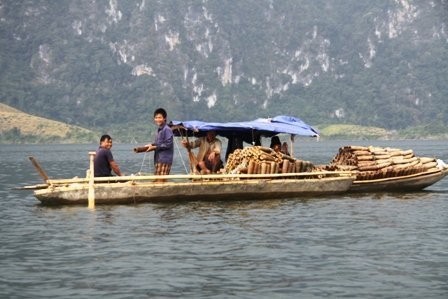 "Ngư trường đặc biệt" trên lòng hồ thủy điện Sơn La  - ảnh 7
