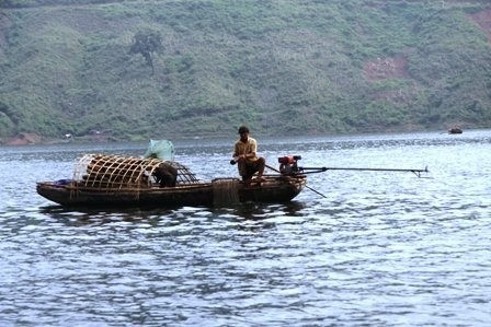 "Ngư trường đặc biệt" trên lòng hồ thủy điện Sơn La  - ảnh 8