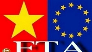 Nghị viện châu Âu quan tâm thúc đẩy FTA với Việt Nam - ảnh 1