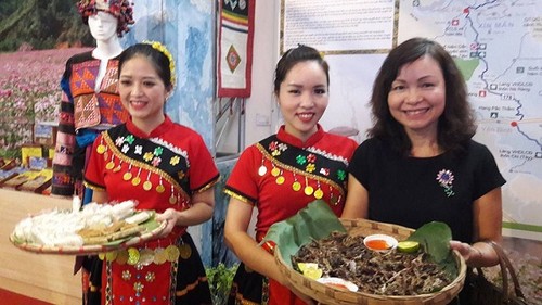 Triển lãm “Lễ hội - Bản sắc, quá khứ và hiện tại các vùng miền quê hương Việt Nam” - ảnh 1