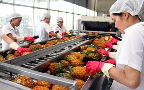 Ngân hàng thế giới đánh giá triển vọng kinh tế trung hạn của Việt Nam vẫn tích cực - ảnh 1